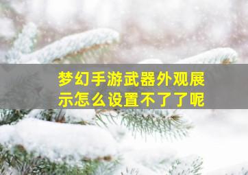 梦幻手游武器外观展示怎么设置不了了呢