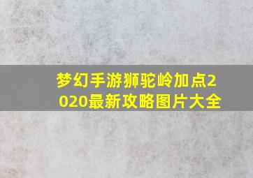 梦幻手游狮驼岭加点2020最新攻略图片大全