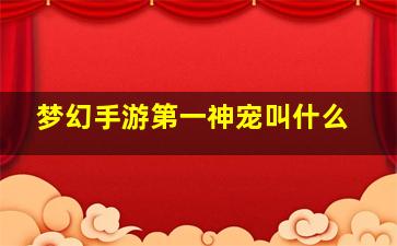 梦幻手游第一神宠叫什么