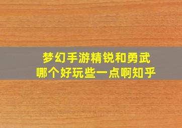 梦幻手游精锐和勇武哪个好玩些一点啊知乎