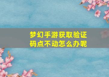 梦幻手游获取验证码点不动怎么办呢