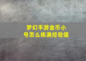 梦幻手游金币小号怎么练满经验值