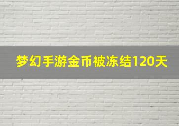 梦幻手游金币被冻结120天