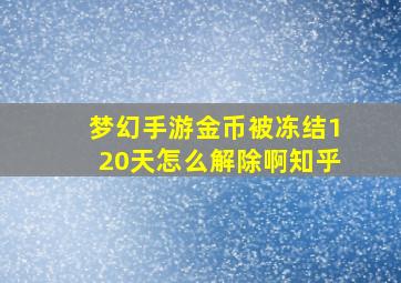 梦幻手游金币被冻结120天怎么解除啊知乎