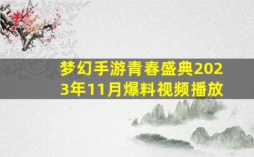 梦幻手游青春盛典2023年11月爆料视频播放