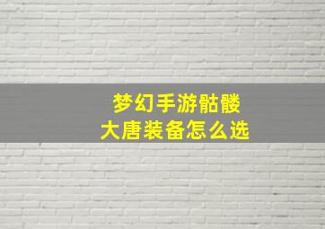 梦幻手游骷髅大唐装备怎么选