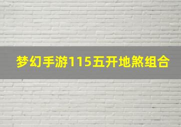 梦幻手游115五开地煞组合