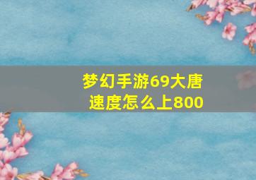 梦幻手游69大唐速度怎么上800