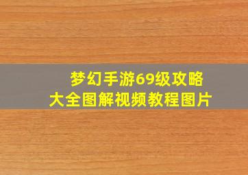 梦幻手游69级攻略大全图解视频教程图片