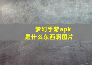 梦幻手游apk是什么东西啊图片