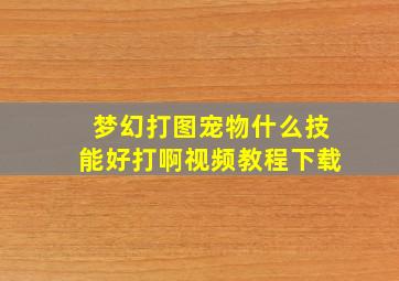 梦幻打图宠物什么技能好打啊视频教程下载