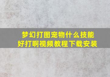 梦幻打图宠物什么技能好打啊视频教程下载安装