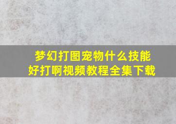 梦幻打图宠物什么技能好打啊视频教程全集下载