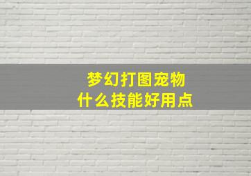 梦幻打图宠物什么技能好用点