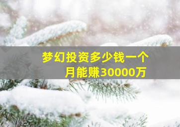 梦幻投资多少钱一个月能赚30000万