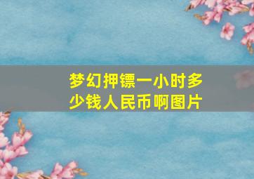 梦幻押镖一小时多少钱人民币啊图片