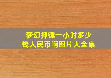 梦幻押镖一小时多少钱人民币啊图片大全集