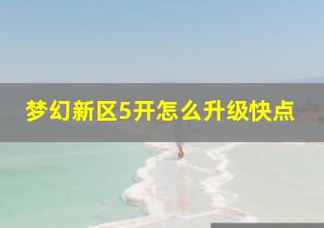 梦幻新区5开怎么升级快点