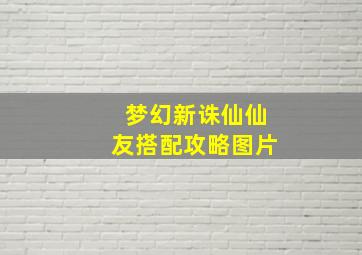 梦幻新诛仙仙友搭配攻略图片