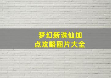 梦幻新诛仙加点攻略图片大全