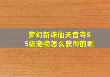 梦幻新诛仙天音寺55级宠物怎么获得的啊