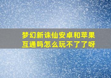 梦幻新诛仙安卓和苹果互通吗怎么玩不了了呀