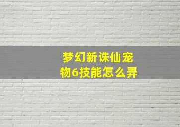 梦幻新诛仙宠物6技能怎么弄