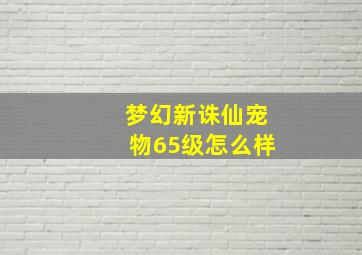 梦幻新诛仙宠物65级怎么样