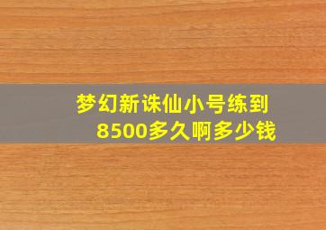 梦幻新诛仙小号练到8500多久啊多少钱