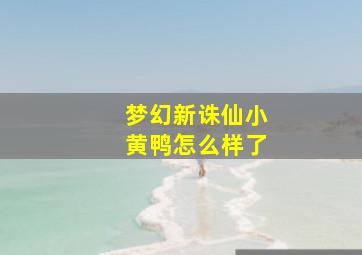 梦幻新诛仙小黄鸭怎么样了