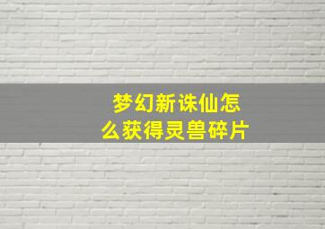 梦幻新诛仙怎么获得灵兽碎片