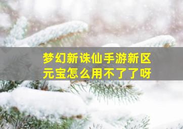 梦幻新诛仙手游新区元宝怎么用不了了呀