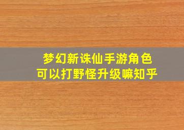 梦幻新诛仙手游角色可以打野怪升级嘛知乎