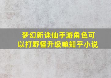 梦幻新诛仙手游角色可以打野怪升级嘛知乎小说