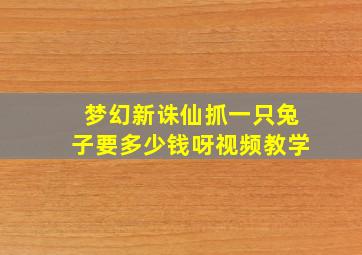 梦幻新诛仙抓一只兔子要多少钱呀视频教学