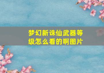 梦幻新诛仙武器等级怎么看的啊图片