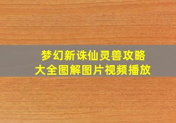 梦幻新诛仙灵兽攻略大全图解图片视频播放