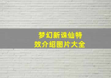 梦幻新诛仙特效介绍图片大全