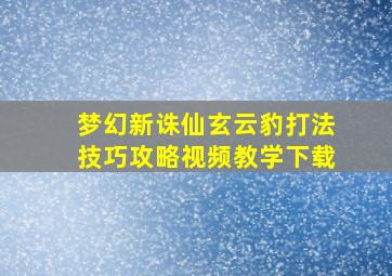 梦幻新诛仙玄云豹打法技巧攻略视频教学下载