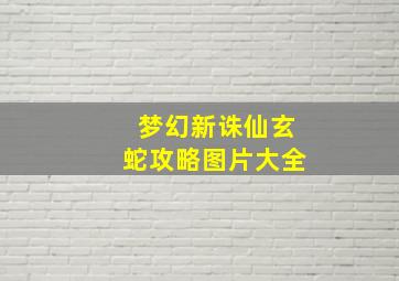 梦幻新诛仙玄蛇攻略图片大全