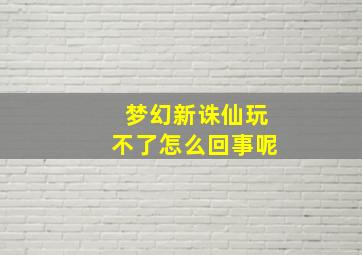 梦幻新诛仙玩不了怎么回事呢