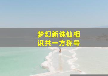 梦幻新诛仙相识共一方称号