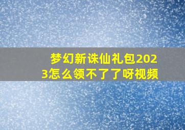 梦幻新诛仙礼包2023怎么领不了了呀视频