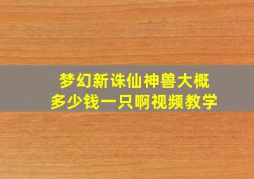 梦幻新诛仙神兽大概多少钱一只啊视频教学