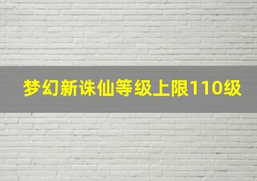 梦幻新诛仙等级上限110级