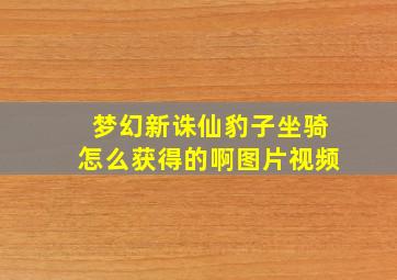 梦幻新诛仙豹子坐骑怎么获得的啊图片视频