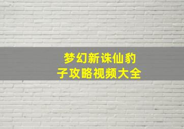 梦幻新诛仙豹子攻略视频大全