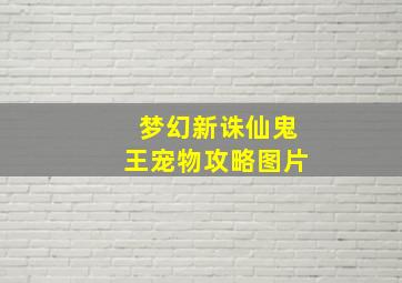 梦幻新诛仙鬼王宠物攻略图片