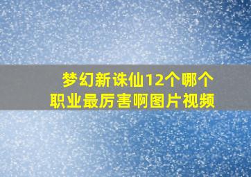 梦幻新诛仙12个哪个职业最厉害啊图片视频