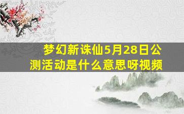 梦幻新诛仙5月28日公测活动是什么意思呀视频